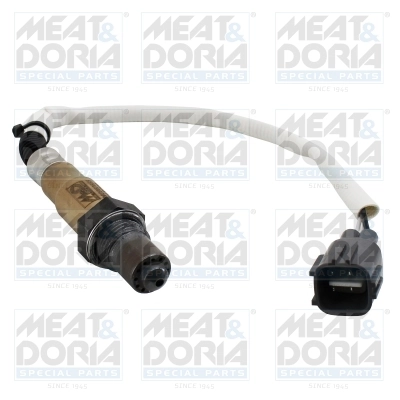 Oxygen Sensor